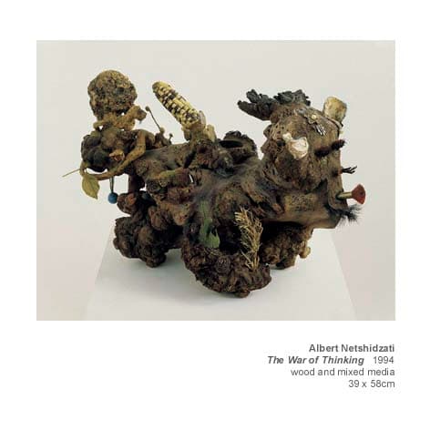 The War Of Thinking by Albert Netshidzati