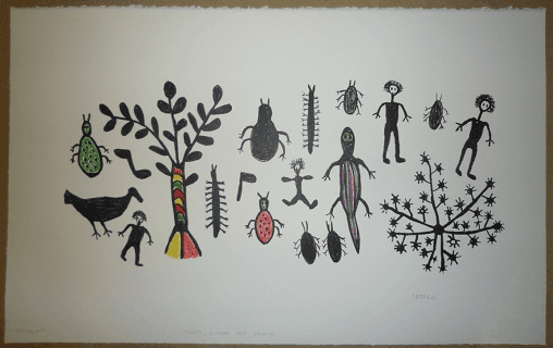 Plants Lizards And Insects by Cgoise