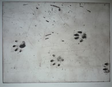 Tracked Down 7/15 by Christine Dixie