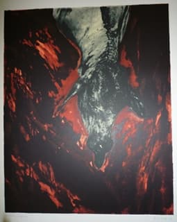 Lamb by Jo Ractliffe