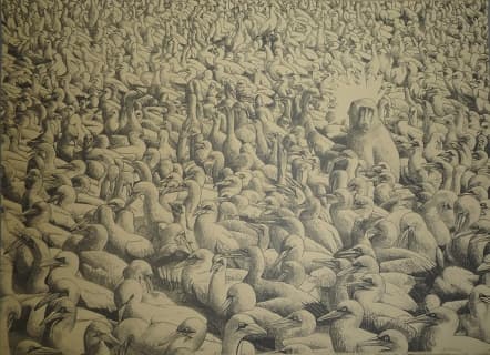 Egrets by John Moore