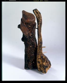 Honey Comb by Moitsepe Madibela