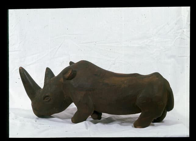 Rhino by Tubayi Dube