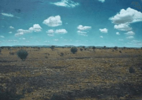 Bop Landscape by Walter Meyer